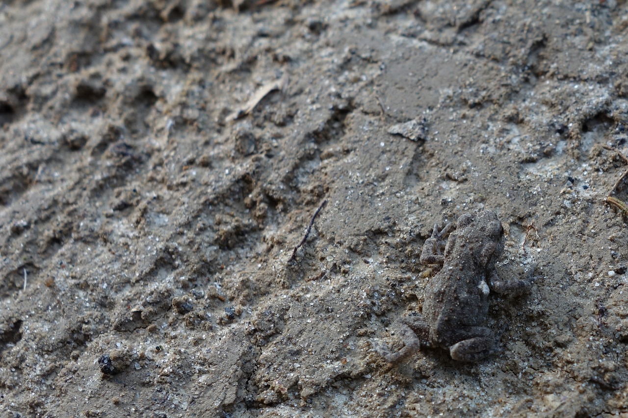 découvrez tout ce qu'il faut savoir sur l'invisible : définitions, mystères, et explorations de ce qui échappe à l'œil nu. plongez dans un univers fascinant où l'invisible devient visible !