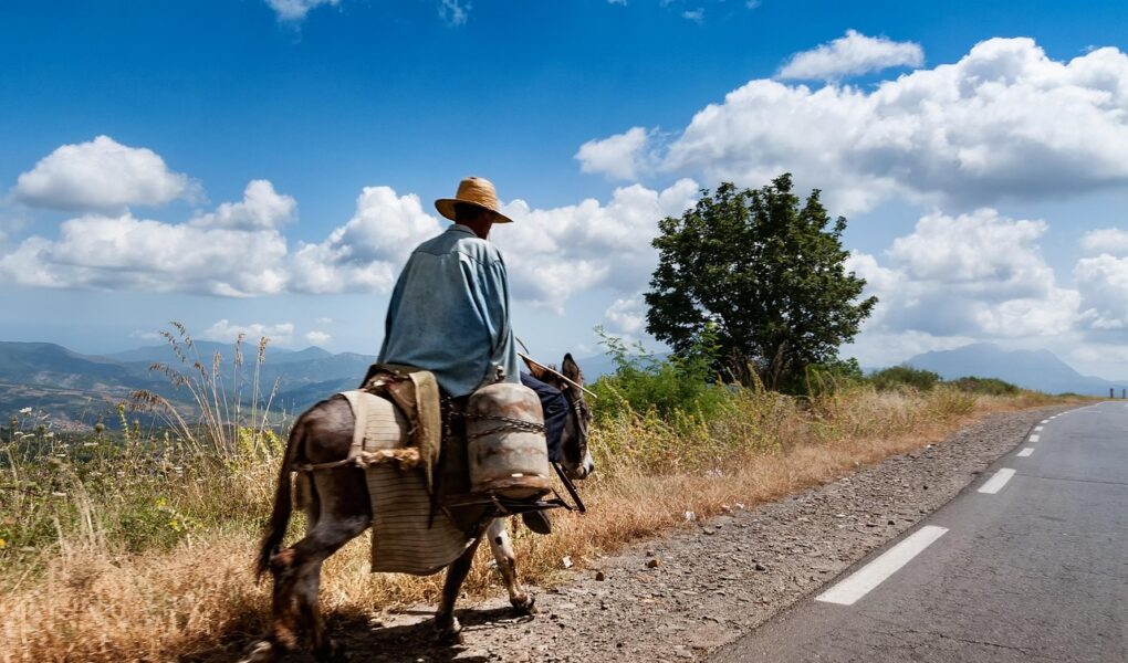 découvrez l'algérie, un pays d'afrique du nord riche en histoire, paysages variés, culture fascinante et sites touristiques incontournables. explorez ses villes dynamiques, son patrimoine unique et ses merveilles naturelles.