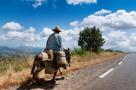 découvrez l'algérie, un pays d'afrique du nord riche en histoire, paysages variés, culture fascinante et sites touristiques incontournables. explorez ses villes dynamiques, son patrimoine unique et ses merveilles naturelles.