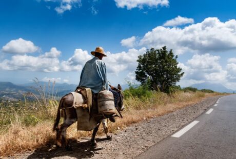 découvrez l'algérie, un pays d'afrique du nord riche en histoire, paysages variés, culture fascinante et sites touristiques incontournables. explorez ses villes dynamiques, son patrimoine unique et ses merveilles naturelles.
