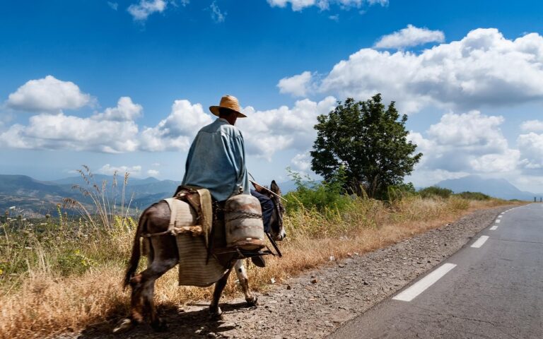 découvrez l'algérie, un pays d'afrique du nord riche en histoire, paysages variés, culture fascinante et sites touristiques incontournables. explorez ses villes dynamiques, son patrimoine unique et ses merveilles naturelles.