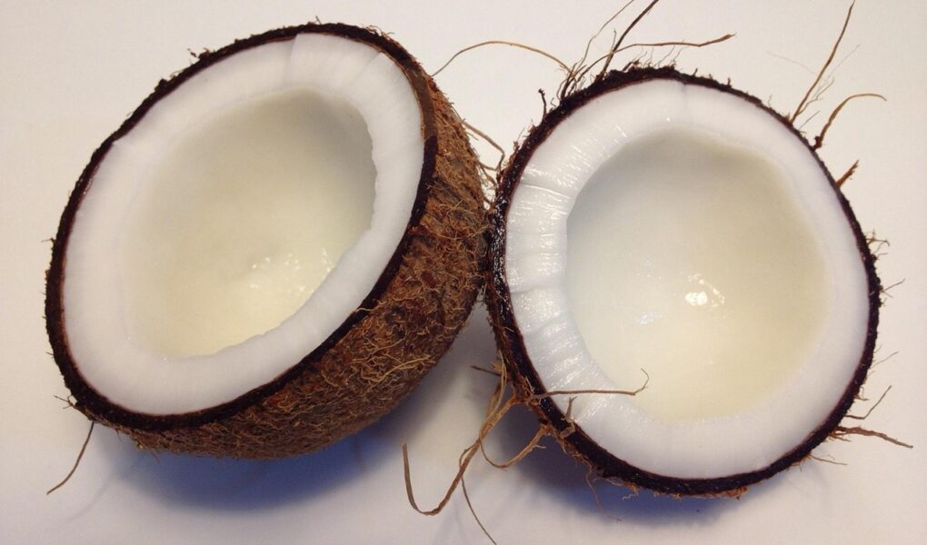 découvrez l'univers de la gastronomie : tendances culinaires, secrets de chefs, recettes savoureuses et conseils pour éveiller vos papilles autour des plaisirs de la table.