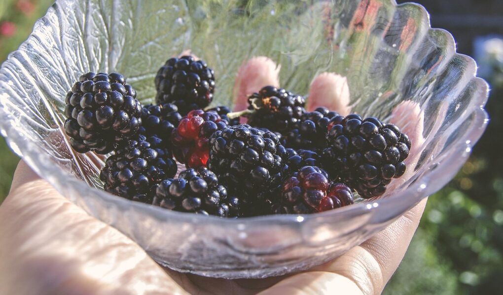 découvrez le sens du mot 'épicurien' : une philosophie de vie centrée sur la recherche du plaisir, du bien-être et de la satisfaction, tout en cultivant l'art de savourer chaque instant.