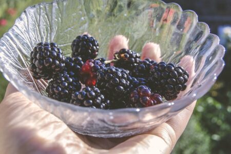 découvrez le sens du mot 'épicurien' : une philosophie de vie centrée sur la recherche du plaisir, du bien-être et de la satisfaction, tout en cultivant l'art de savourer chaque instant.