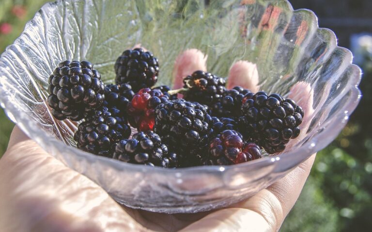 découvrez le sens du mot 'épicurien' : une philosophie de vie centrée sur la recherche du plaisir, du bien-être et de la satisfaction, tout en cultivant l'art de savourer chaque instant.