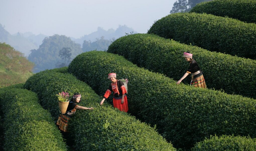 découvrez les meilleures adresses de restaurants abordables pour savourer de délicieux repas à petit prix. profitez d'une expérience culinaire de qualité sans vous ruiner !