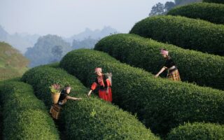 découvrez les meilleures adresses de restaurants abordables pour savourer de délicieux repas à petit prix. profitez d'une expérience culinaire de qualité sans vous ruiner !
