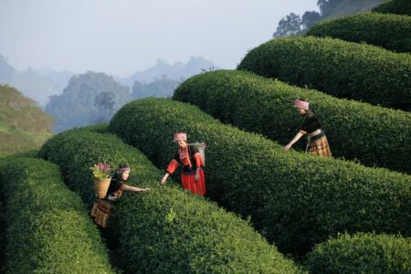 découvrez les meilleures adresses de restaurants abordables pour savourer de délicieux repas à petit prix. profitez d'une expérience culinaire de qualité sans vous ruiner !