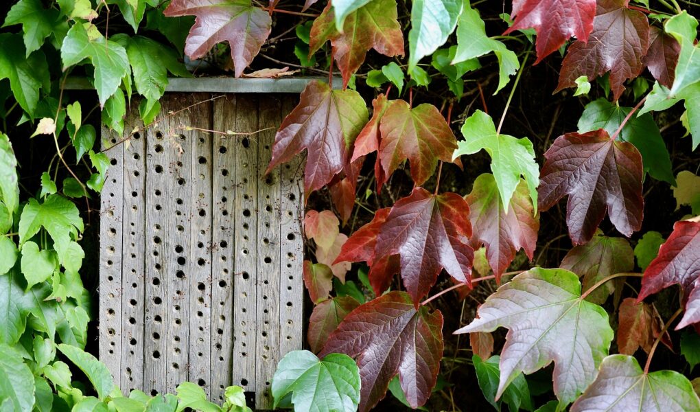 découvrez les meilleurs hôtels pour tous les budgets : comparez les prix, lisez les avis des voyageurs et réservez votre séjour idéal facilement en ligne.