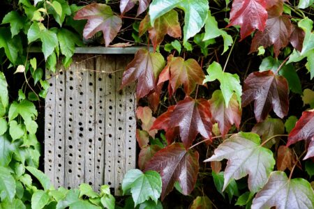 découvrez les meilleurs hôtels pour tous les budgets : comparez les prix, lisez les avis des voyageurs et réservez votre séjour idéal facilement en ligne.