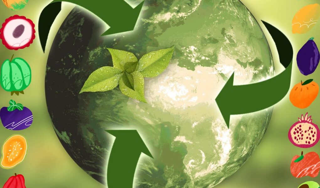 découvrez le tourisme durable : des voyages respectueux de l’environnement, des communautés locales et des cultures, pour un impact positif sur la planète et vos expériences.