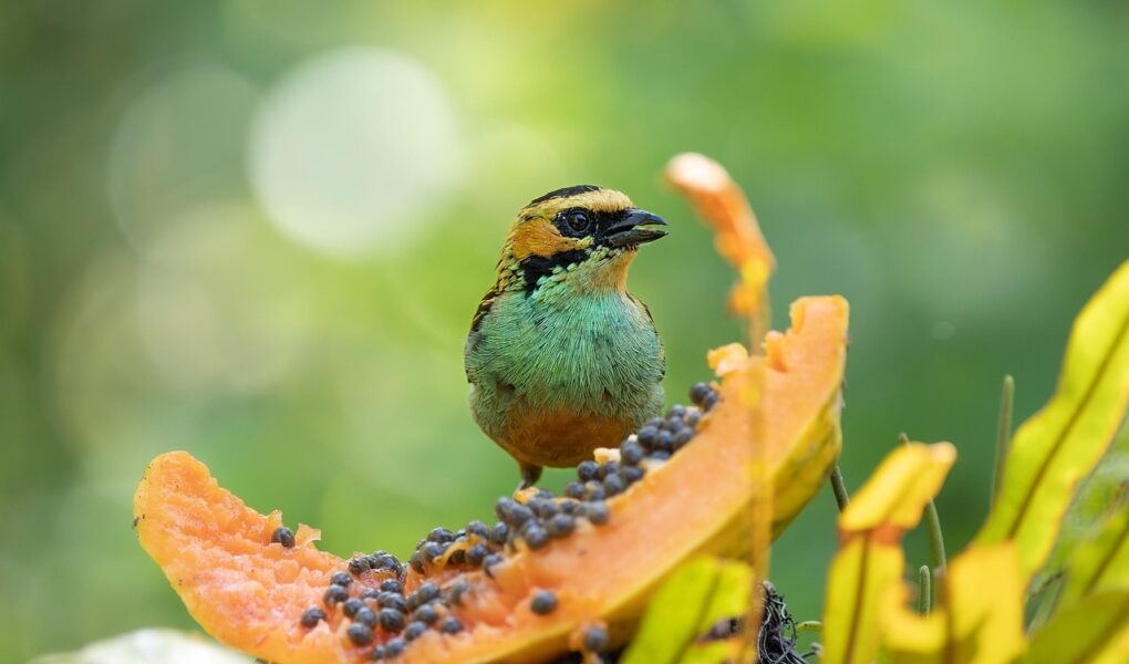 découvrez tanger, la perle du nord du maroc : son histoire fascinante, ses plages envoûtantes et son ambiance cosmopolite entre tradition et modernité.