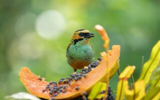 découvrez tanger, la perle du nord du maroc : son histoire fascinante, ses plages envoûtantes et son ambiance cosmopolite entre tradition et modernité.