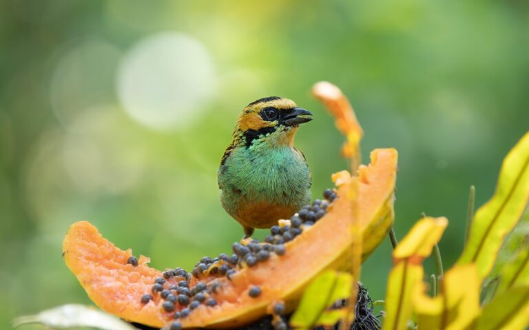 découvrez tanger, la perle du nord du maroc : son histoire fascinante, ses plages envoûtantes et son ambiance cosmopolite entre tradition et modernité.