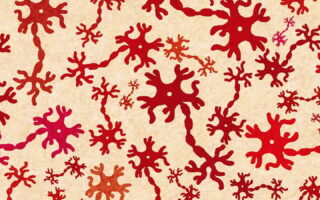 découvrez la neurodiversité : un concept qui célèbre la diversité des cerveaux humains, valorise les différences neurologiques et encourage l'inclusion des personnes autistes, dyslexiques, tda/h et bien d'autres profils atypiques.