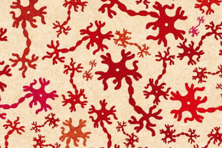 découvrez la neurodiversité : un concept qui célèbre la diversité des cerveaux humains, valorise les différences neurologiques et encourage l'inclusion des personnes autistes, dyslexiques, tda/h et bien d'autres profils atypiques.