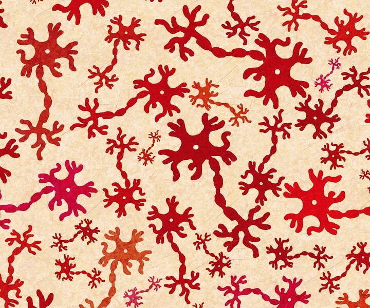 découvrez la neurodiversité : un concept qui célèbre la diversité des cerveaux humains, valorise les différences neurologiques et encourage l'inclusion des personnes autistes, dyslexiques, tda/h et bien d'autres profils atypiques.