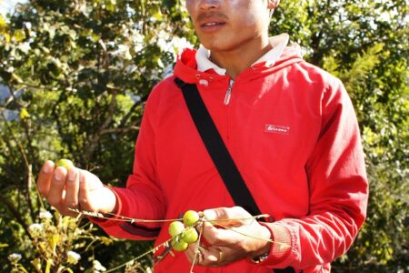 découvrez les auteurs de guides de voyage qui partagent leurs expertises et conseils pour explorer le monde en toute confiance.