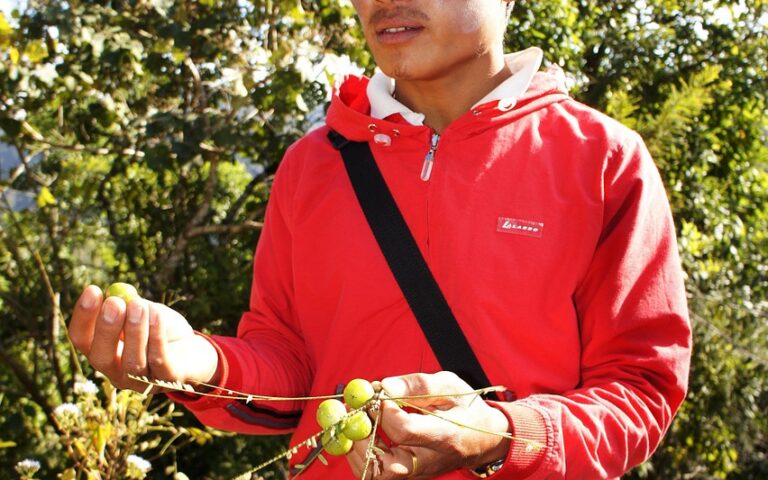 découvrez les auteurs de guides de voyage qui partagent leurs expertises et conseils pour explorer le monde en toute confiance.