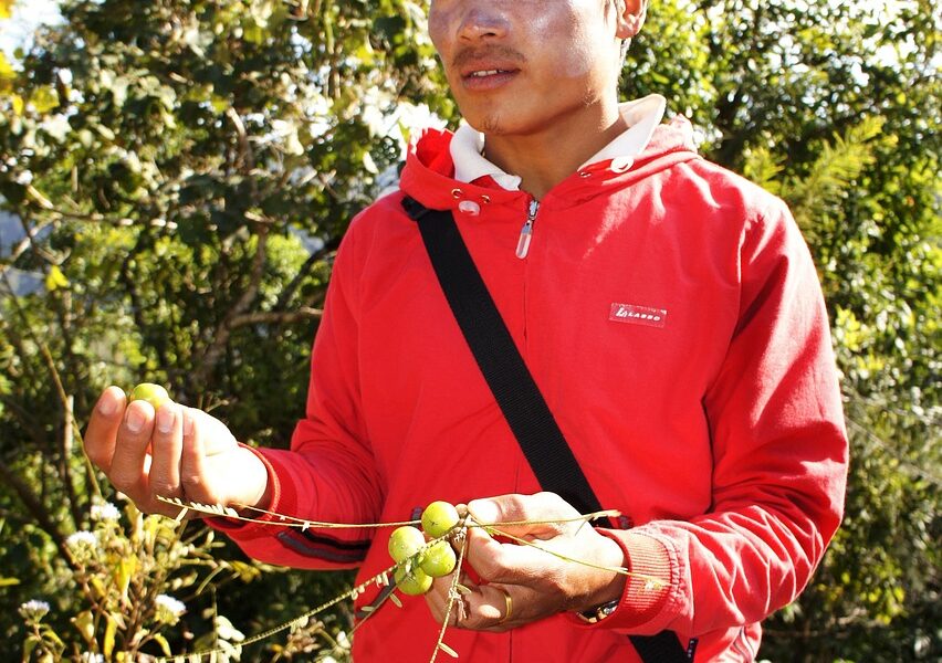 découvrez les auteurs de guides de voyage qui partagent leurs expertises et conseils pour explorer le monde en toute confiance.