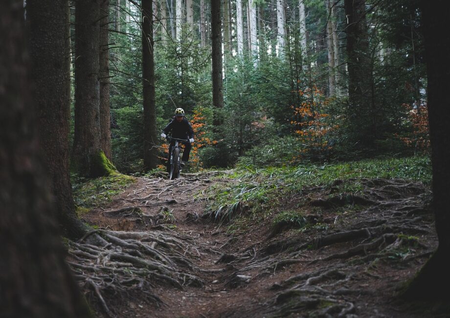 découvrez des aventures en plein air inoubliables, alliant nature, exploration et sensations fortes pour tous les passionnés d’activités extérieures.