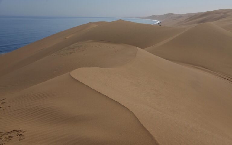 découvrez la namibie, un pays africain fascinant aux paysages époustouflants. explorez ses dunes spectaculaires, sa faune sauvage et ses cultures authentiques pour un voyage inoubliable en afrique australe.