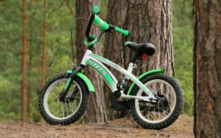 découvrez comment organiser un voyage à vélo inoubliable : conseils pratiques, itinéraires recommandés et astuces pour profiter pleinement de votre aventure à bicyclette.