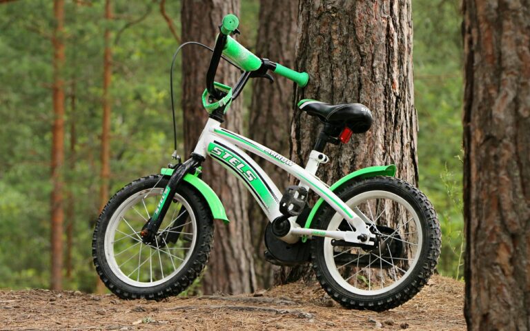 découvrez comment organiser un voyage à vélo inoubliable : conseils pratiques, itinéraires recommandés et astuces pour profiter pleinement de votre aventure à bicyclette.