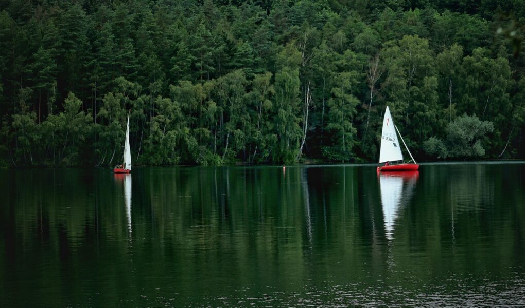 découvrez les meilleures activités à faire sur le lac okeechobee : pêche, navigation, randonnée et bien plus pour toute la famille.