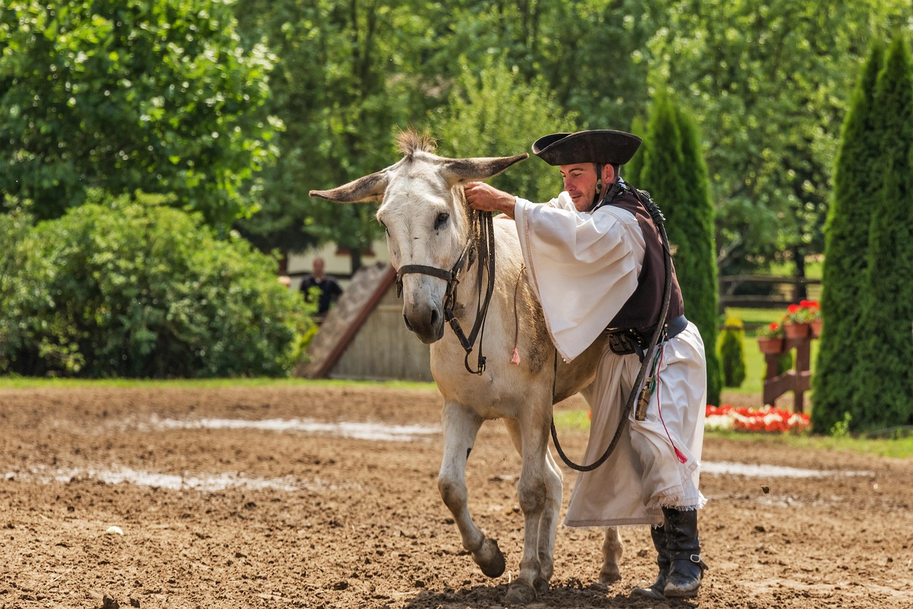 découvrez les traditions animales à travers le monde : rituels, comportements et influences culturelles uniques chez les différentes espèces.