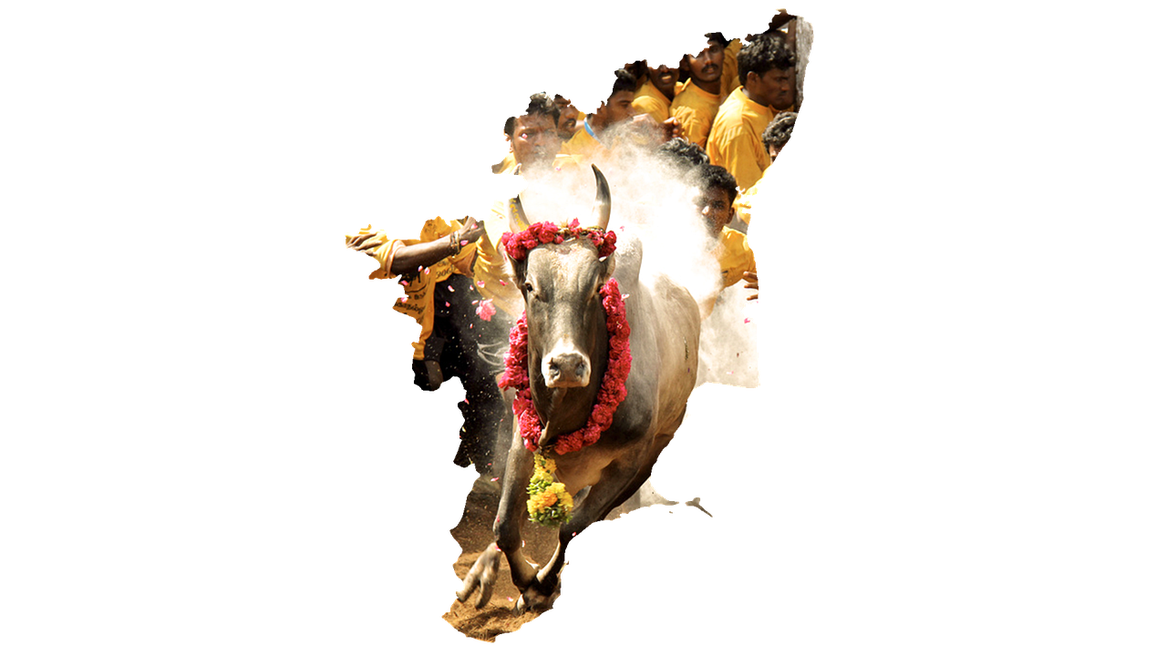 découvrez les événements culturels incontournables : expositions, festivals, spectacles et traditions pour vibrer au rythme de la culture près de chez vous.