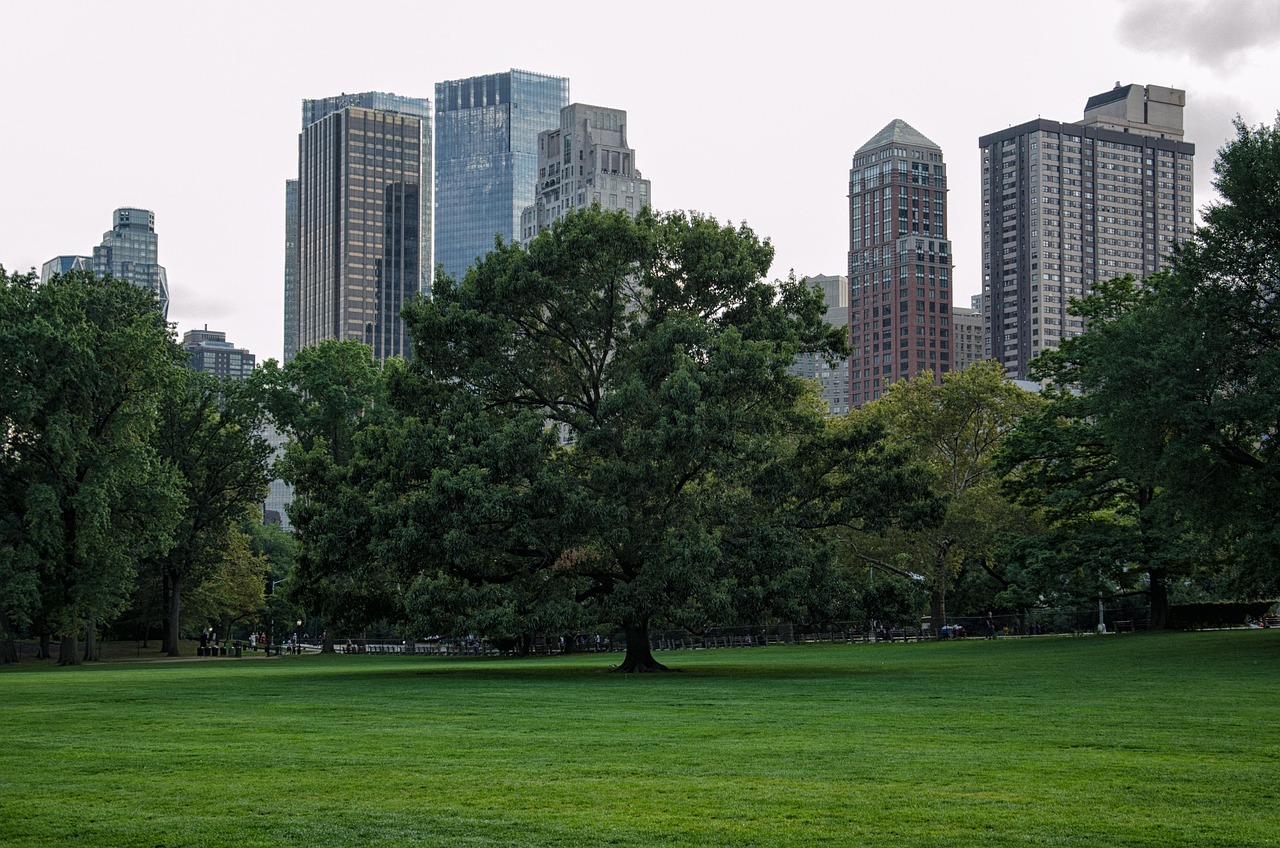 découvrez les dernières actualités locales pour rester informé de ce qui se passe dans votre région. suivez les événements, la politique, la culture et bien plus encore en temps réel.