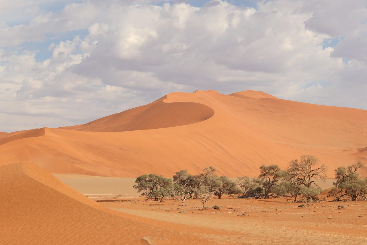 découvrez la namibie, un pays d'afrique australe réputé pour ses paysages spectaculaires, sa faune exceptionnelle, le désert du namib et des aventures inoubliables. partez à la rencontre d'une nature sauvage et authentique.