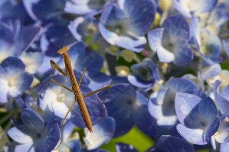 découvrez des aventures en plein air inoubliables avec outdoor explorations : randonnées, camping, activités nature et conseils pour explorer les grands espaces en toute sécurité.