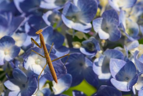 découvrez des aventures en plein air inoubliables avec outdoor explorations : randonnées, camping, activités nature et conseils pour explorer les grands espaces en toute sécurité.