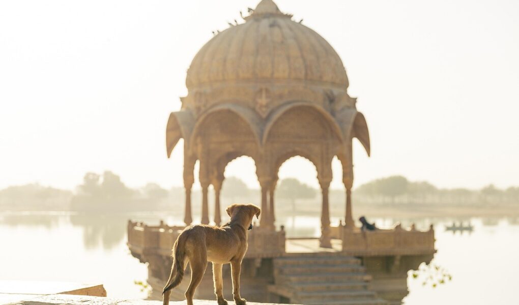 d&eacute;couvrez notre guide de voyage complet pour l'inde : conseils pratiques, endroits incontournables, culture fascinante et astuces pour un s&eacute;jour inoubliable.
