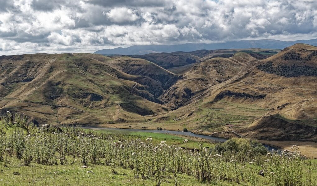 dernières actualités régionales : suivez l'information locale en temps réel, événements, politiques et faits divers près de chez vous.