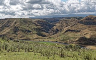 derni&egrave;res actualit&eacute;s r&eacute;gionales : suivez l'information locale en temps r&eacute;el, &eacute;v&eacute;nements, politiques et faits divers pr&egrave;s de chez vous.