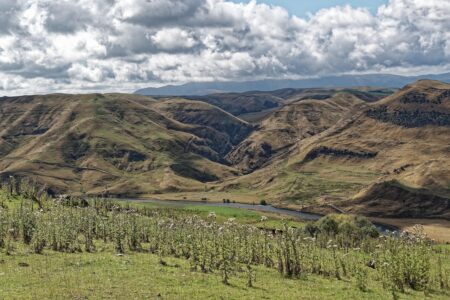 derni&egrave;res actualit&eacute;s r&eacute;gionales : suivez l'information locale en temps r&eacute;el, &eacute;v&eacute;nements, politiques et faits divers pr&egrave;s de chez vous.
