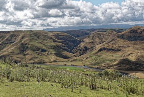 derni&egrave;res actualit&eacute;s r&eacute;gionales : suivez l'information locale en temps r&eacute;el, &eacute;v&eacute;nements, politiques et faits divers pr&egrave;s de chez vous.