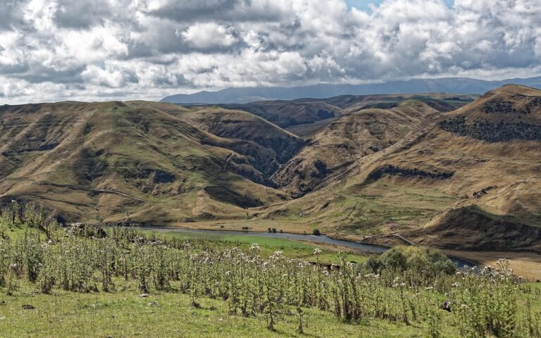 dernières actualités régionales : suivez l'information locale en temps réel, événements, politiques et faits divers près de chez vous.