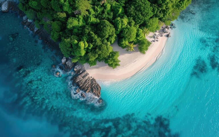 découvrez les meilleures marques de vestes rembourrées pour rester au chaud avec style. comparez qualité, prix et innovations des leaders du marché des doudounes.