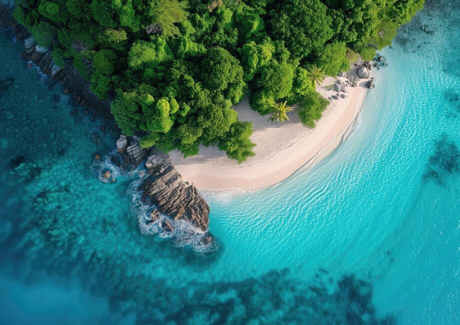 découvrez les meilleures marques de vestes rembourrées pour rester au chaud avec style. comparez qualité, prix et innovations des leaders du marché des doudounes.