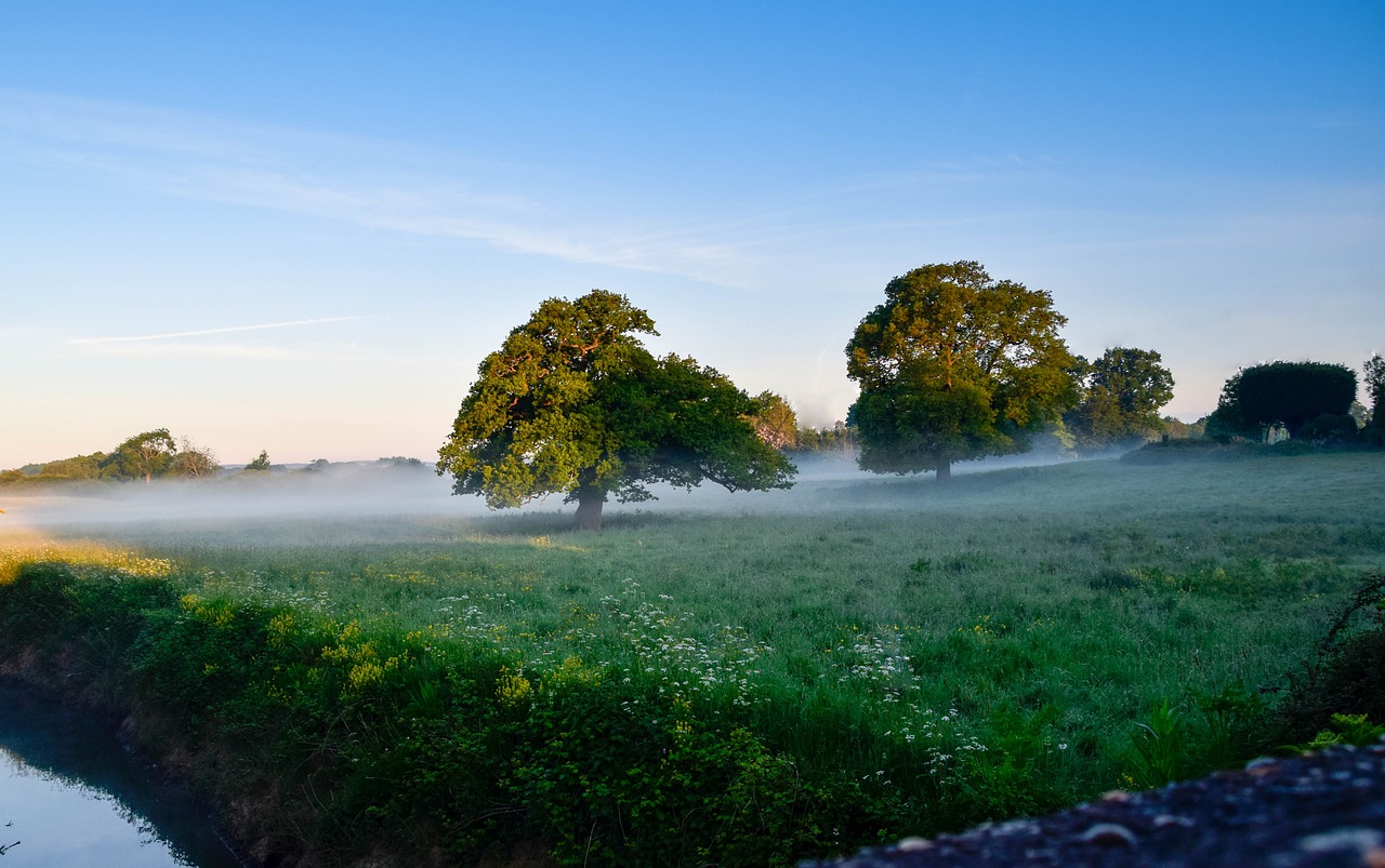découvrez les escales culinaires à nice, entre saveurs méditerranéennes et spécialités locales pour une expérience gastronomique unique.