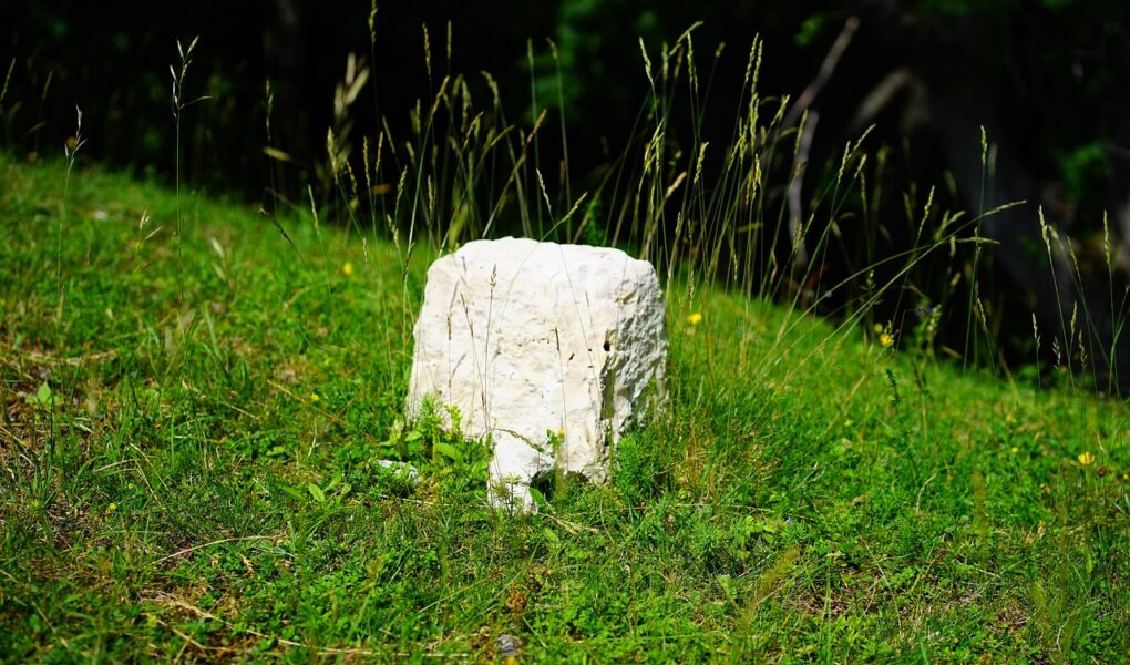 découvrez 'breaking point', une œuvre captivante qui explore les limites de la résilience humaine face aux défis extrêmes.