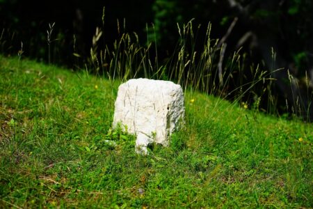 d&eacute;couvrez 'breaking point', une &oelig;uvre captivante qui explore les limites de la r&eacute;silience humaine face aux d&eacute;fis extr&ecirc;mes.