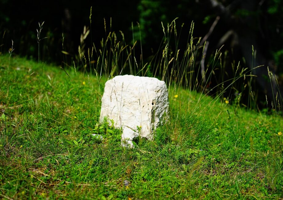 d&eacute;couvrez 'breaking point', une &oelig;uvre captivante qui explore les limites de la r&eacute;silience humaine face aux d&eacute;fis extr&ecirc;mes.