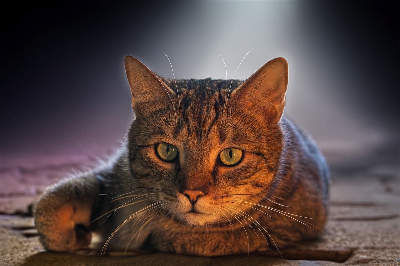 d&eacute;couvrez des escapades europ&eacute;ennes inoubliables, alliant culture, gastronomie et paysages pittoresques pour vos prochaines vacances.