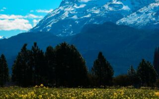 d&eacute;couvrez l'aventure ultime en islande durant l'hiver : paysages enneig&eacute;s, aurores bor&eacute;ales, et explorations uniques vous attendent.