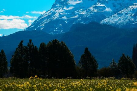 d&eacute;couvrez l'aventure ultime en islande durant l'hiver : paysages enneig&eacute;s, aurores bor&eacute;ales, et explorations uniques vous attendent.
